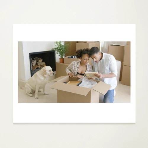 dog house frame,storekeepers,packager,dog frame,fiberboard,picture frames,parcel post,parcel service,pekinese,drop shipping,photo frames,moving boxes,parcel mail,photo frame,parcel delivery,blank photo frames,paperworkers,product photos,cabinetmakers,decorators