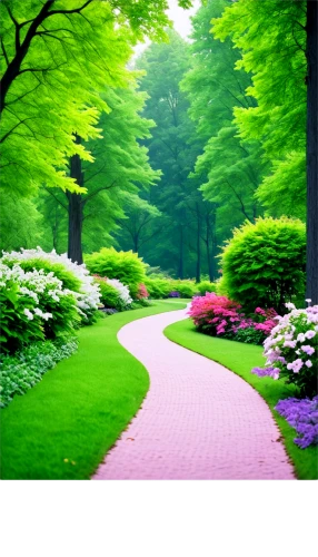 tree lined path,forest path,nature background,pathway,nature garden,walk in a park,background view nature,landscape background,flower garden,walkway,green forest,nature wallpaper,landscaped,spring background,splendor of flowers,aaaa,greenspace,to the garden,green border,hiking path,Photography,Black and white photography,Black and White Photography 10