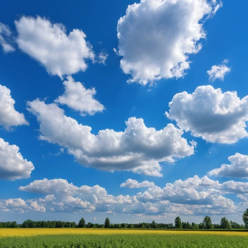 blue sky and clouds,blue sky clouds,blue sky and white clouds,cumulus clouds,cumulus cloud,cloud image,towering cumulus clouds observed,cloudlike,single cloud,fair weather clouds,partly cloudy,cloudscape,sky clouds,nuages,about clouds,cumulus,clouds sky,windows wallpaper,clouds - sky,stratocumulus,Photography,General,Realistic