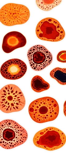 spherules,trypophobia,oospores,tetrads,honeycomb structure,cells,diatoms,dot pattern,zoospores,teliospores,actinomyces,quasicrystals,honeycomb grid,microarrays,burger pattern,fruit pattern,chromatophores,spores,microparticles,nucleation,Unique,Design,Sticker