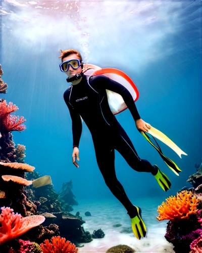 underwater background,snorkeling,amphiprion,snorkelling,scuba diving,divemaster,subaquatic,anemonefish,anemone fish,snorkelers,snorkeled,aquanaut,great barrier reef,scuba,dahab island,lakshadweep,photo session in the aquatic studio,freediving,buceo,spearfishing,Art,Classical Oil Painting,Classical Oil Painting 31