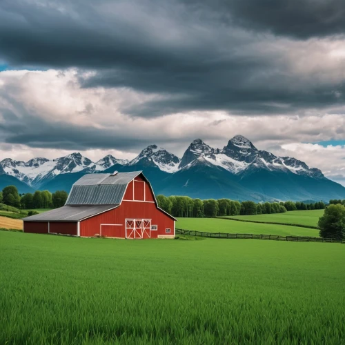 scandinavia,northern norway,farm landscape,nordnorge,red barn,norway,farm background,norge,landscape background,rural landscape,norvegia,argentine patagonia,nzealand,beautiful landscape,green landscape,icelander,eastern iceland,eastern switzerland,landscape photography,alpine pastures,Photography,General,Realistic