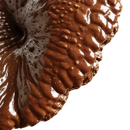 mandelbulb,chestnut mushroom,brown mushrooms,phellinus,ferrofluid,chocolate cupcake,chocolate flower,forest mushroom,mushroom landscape,chocolate cream,auricularia,ganache,fir cone,sordariomycetes,texturing,brigadeiros,chocolate sauce,acorn,coffee background,cocoa powder,Illustration,Realistic Fantasy,Realistic Fantasy 31