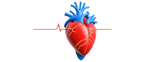 atrioventricular,cardiomyopathy,electrocardiography,cardiovascular,heart clipart,cardiology,heart background,cardiowest,cardiological,human heart,microcirculation,heart care,atrial,tavr,ventricle,arrhythmia,paraventricular,cardiac,endocardial,electrocardiograms,Illustration,Realistic Fantasy,Realistic Fantasy 31