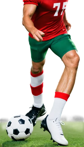 soccer player,subbuteo,shaqiri,football player,lichtsteiner,footballer,stoichkov,midfielder,lichaj,sobhi,goetze,aboutrika,footbag,litmanen,athletic,scaloni,soccer ball,football boots,adductor,calcio,Art,Artistic Painting,Artistic Painting 37