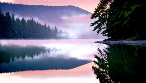 forest lake,calm water,beautiful lake,evening lake,nature background,mountainlake,alpine lake,calm waters,tranquility,tongass,reflection in water,stillness,calmness,mountain lake,water reflection,reflections in water,mirror water,background view nature,trillium lake,eibsee,Unique,3D,Toy