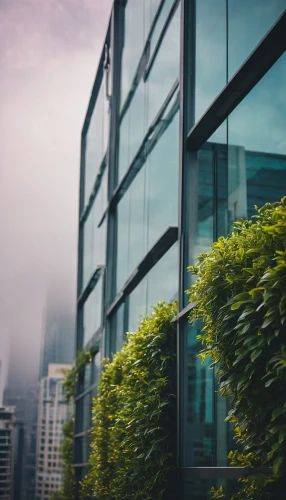 glass building,glass wall,blur office background,microclimate,glass facade,glass facades,office buildings,makati,windowpanes,skyscraper,office building,urbis,ventanas,iclei,ortigas,titanum,opaque panes,escala,skyscrapers,abstract corporate,Photography,General,Cinematic