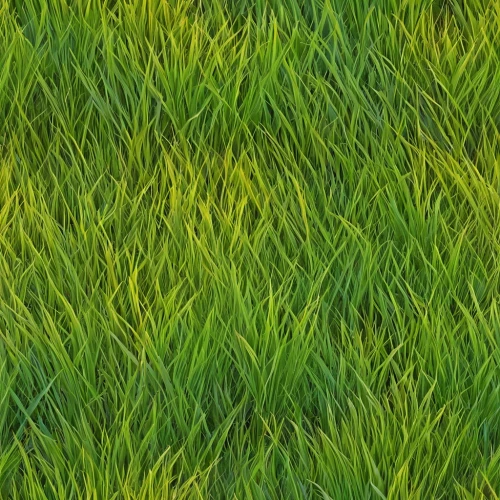 block of grass,green wallpaper,gras,grass,zoysia,grass blades,green grass,grass grasses,grasslike,grassy,lawn,green lawn,wheat grass,blooming grass,grassman,blades of grass,grass lily,long grass,seamless texture,green wheat,Illustration,Abstract Fantasy,Abstract Fantasy 10