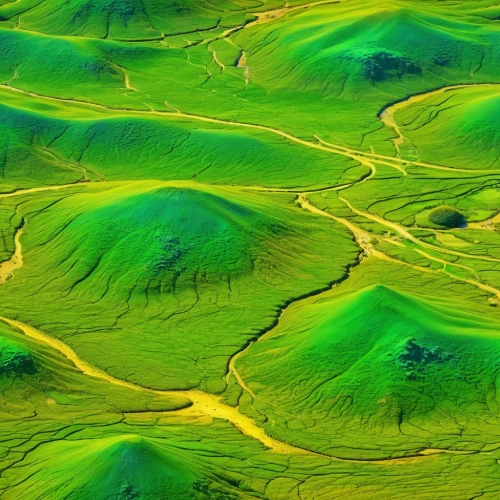 castelluccio,landform,geomorphic,meanders,topographer,topography,geomorphological,watersheds,topographic,topographically,shifting dunes,topographical,geomorphology,aerial landscape,mountain valleys,meandering,river delta,topographies,green landscape,colorado sand dunes,Photography,General,Realistic
