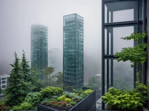 foggy day,taikoo,morning fog,foggy landscape,chongqing,residential tower,chengdu,urban towers,urban landscape,morning mist,high fog,microclimate,songdo,sky apartment,skyscraping,roof garden,dense fog,high-rise building,skyscrapers,ground fog,Photography,Black and white photography,Black and White Photography 09