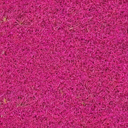 pink grass,pink clover,sainfoin,pink petals,clove pink,pink periwinkles,pink paper,amaranth,pink large,magenta,pink squares,pinker,pink beach,astroturf,pink glitter,zoysia,pinkola,flower carpet,dark pink in colour,pinkos,Illustration,Abstract Fantasy,Abstract Fantasy 10