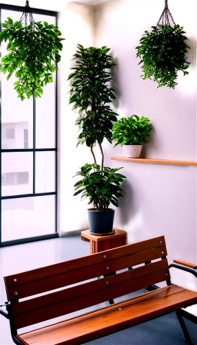 potted plants,houseplant,houseplants,green plants,bonsai tree,house plants,boxwoods,potted plant,tube plants,waiting room,potted tree,philodendrons,hanging plants,plants,metasequoia,atriums,bamboo plants,seating area,green plant,hanging plant,Illustration,Realistic Fantasy,Realistic Fantasy 41
