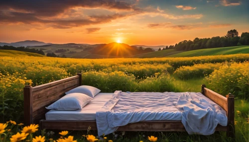 bed in the cornfield,chair in field,meadow landscape,daybed,restful,idyll,landscape background,suitcase in field,flower blanket,resting place,tuscany,home landscape,blanket of flowers,background view nature,slumberland,field of rapeseeds,romantic scene,garden bench,spring morning,nature background,Photography,General,Fantasy