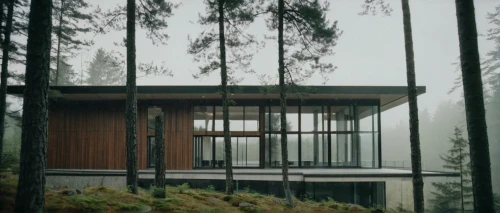 forest house,house in the forest,shawnigan,timber house,zumthor,bohlin,weyerhaeuser,huset,mid century house,goldstream,snohetta,capilano,lohaus,aalto,grizedale,sammamish,house in the mountains,cultus,chalet,dunes house,Photography,Documentary Photography,Documentary Photography 02