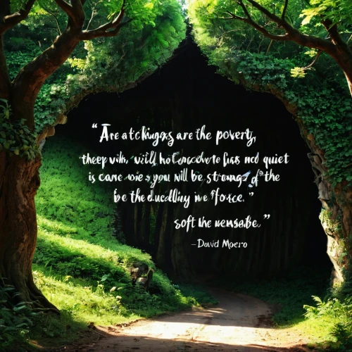 jrr tolkien,tolkien,shunryu,snicket,marcus aurelius,quotation,rambles,swindoll,saint therese of lisieux,pratchett,rothfuss,samwise,arrietty,eckhart,the mystical path,aristotle,upanishad,gaiman,quotations,the law of the jungle,Conceptual Art,Daily,Daily 02