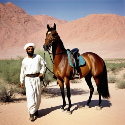 arabians,arabian horse,masar,arabian horses,benmerzouga,thoroughbred arabian,tuareg,bedouin,semidesert,emirati,transjordan,nazari,man and horses,djellaba,omani,merzouga,libyan desert,mushaima,horse herder,bedouins,Illustration,Retro,Retro 04