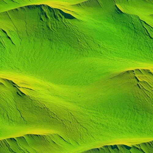 relief map,topographic,srtm,shifting dunes,chlorophyta,topographer,topography,venus surface,green wallpaper,background abstract,topographical,quartz sandstone peak woodland landscape,abstract backgrounds,geomorphological,geomorphic,abstract air backdrop,bathymetric,hirise,topographically,lidar,Photography,General,Realistic