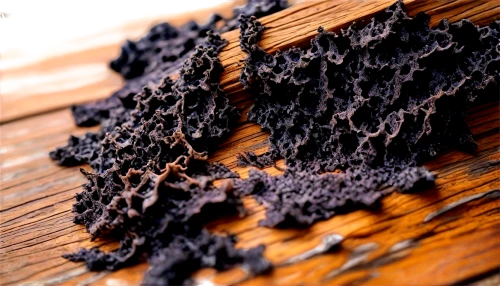 chocolate shavings,ferrofluid,wood texture,on wood,chaga,mucuna,avicularia,wood wool,wood background,carved wood,tar,bitumen,black trumpet mushrooms,solidified lava,anthill,teakwood,wood structure,slice of wood,wooden background,biochar,Illustration,Black and White,Black and White 06