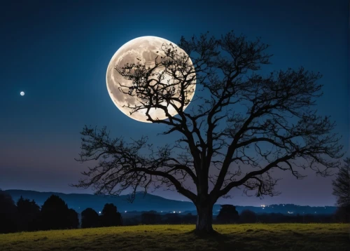 moonlit night,moon photography,hanging moon,moon and foliage,moon and star background,full moon,moonlighted,moonlit,super moon,moon at night,blue moon,moonglow,moonshine,mond,moonstruck,moonesinghe,the moon,big moon,jupiter moon,moon night,Photography,General,Realistic