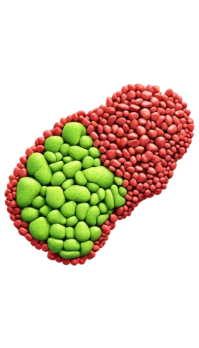 azolla,chloropaschia,microspheres,lipoprotein,apolipoprotein,microvilli,pentachlorophenol,chloroplasts,chloroprene,chloroplast,microkernels,liposomes,nanoparticle,stomata,nanoparticles,lipoproteins,microvesicles,microsporum,microalgae,microflora,Art,Artistic Painting,Artistic Painting 30