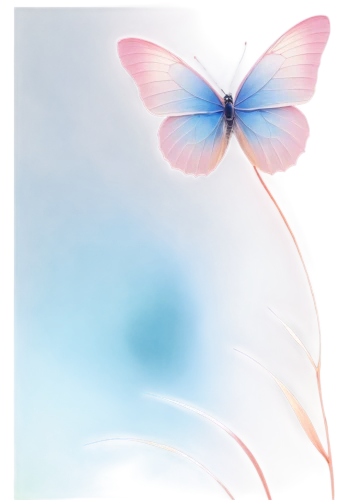 blue butterfly background,butterfly background,morphos,ulysses butterfly,butterfly isolated,butterfly vector,isolated butterfly,butterfly clip art,sky butterfly,glass wing butterfly,butterfly,blue butterfly,pink butterfly,flutter,aurora butterfly,morpho,transparent background,morpho butterfly,large aurora butterfly,french butterfly,Illustration,Black and White,Black and White 12