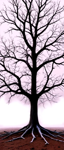 old tree silhouette,arbre,isolated tree,tree silhouette,brown tree,bare tree,tree,arboreal,a tree,lonetree,tree thoughtless,deciduous tree,lone tree,walnut trees,oak tree,creepy tree,celtic tree,the branches of the tree,tree and roots,bare trees,Conceptual Art,Daily,Daily 35