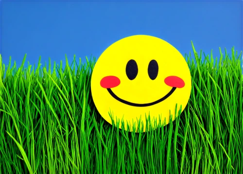 easter background,spring background,painting easter egg,grassman,springtime background,dandelion background,easter palm,grass,grassby,yellow grass,daff,lawn,chick smiley,grass golf ball,children's background,grassy,pascua,egg hunt,eyup,flower background,Photography,Fashion Photography,Fashion Photography 25