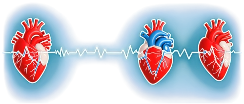 atrioventricular,electrocardiography,paraventricular,microcirculation,electrocardiograph,arrhythmias,electrocardiogram,arrhythmia,cardiovascular,echocardiography,cardiowest,electrocardiograms,ecg,antiarrhythmic,cardiological,cardiomyopathy,oxygenator,ekg,hypercholesterolemia,echocardiograms,Unique,Design,Sticker