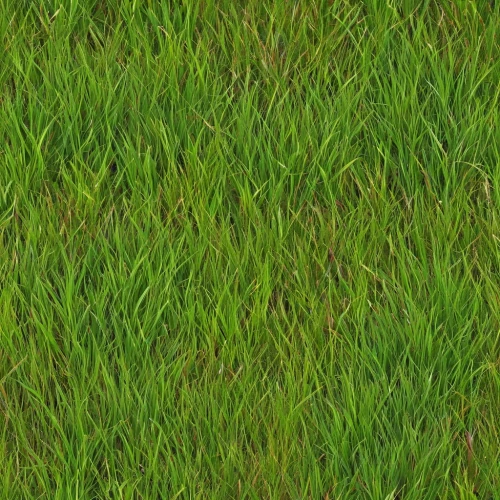 block of grass,zoysia,grass,gras,cordgrass,grass grasses,green wallpaper,grass blades,grassman,golf course grass,green grass,grassy,grasslike,long grass,paspalum,lawn,brick grass,green lawn,seamless texture,blooming grass,Illustration,Abstract Fantasy,Abstract Fantasy 10