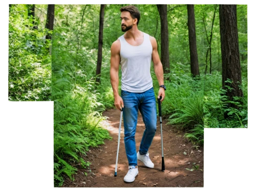 tarkan,tuncay,alcide,forest background,hatam,kerem,petrelis,butrint,onur,walk in a park,forest walk,ersin,nature and man,murat,koray,aa,ozcan,veysel,botanischer,semih,Illustration,Paper based,Paper Based 22