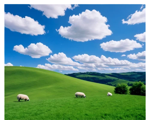 landscape background,nature background,salatin,blue sky and white clouds,windows wallpaper,blue sky and clouds,grassland,blue sky clouds,green landscape,grasslands,two sheep,bucolic,background view nature,pastureland,cumulus clouds,meadow landscape,gras,landschaft,rolling hills,sheepherding,Art,Classical Oil Painting,Classical Oil Painting 21