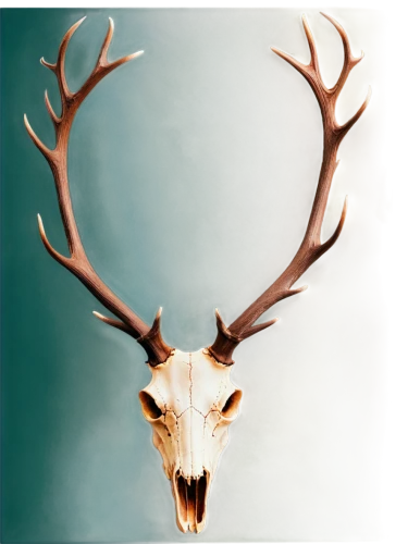 antler velvet,buck antlers,antlered,red-necked buck,male deer,buffalo plaid antlers,deer head,whitetail buck,reindeer head,antler,gold deer,stag,whitetail,cervus,deer bull,odocoileus,glowing antlers,deer antlers,kudu buck,venado,Art,Artistic Painting,Artistic Painting 08