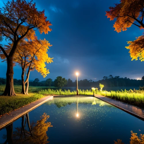 reflecting pool,night photograph,the park at night,night photography,autumn scenery,autumn in japan,autumn park,pond,nightscape,japan's three great night views,garden pond,hyang garden,landscape background,autumn background,windows wallpaper,night image,floodlit,the autumn,night scene,outdoor pool,Illustration,Black and White,Black and White 04