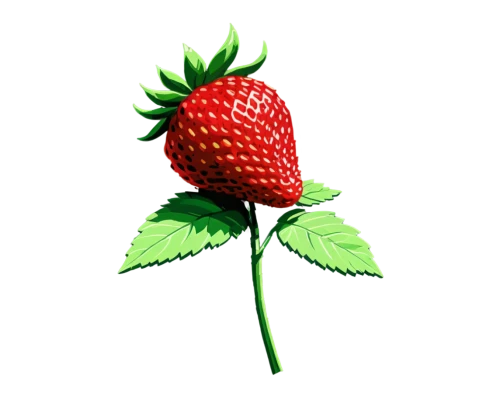 raspberry leaf,strawberry flower,strawberry plant,red strawberry,strawberry,watermelon background,fragaria,strawberry tree,strawberry ripe,strawbs,strawberries,red and green,fraise,watermelon wallpaper,raspberry bush,raspberry,rasberry,red berry,red raspberries,raspberries,Photography,Black and white photography,Black and White Photography 08