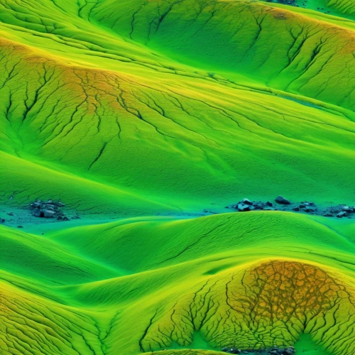 topographic,topographer,topography,hydrogeological,bathymetric,bathymetry,relief map,chlorophyta,topographical,topographically,geomorphological,geomorphic,geophysical,srtm,geomorphology,fossil dunes,fossae,landform,seamounts,lidar,Photography,General,Realistic