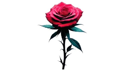 rose png,romantic rose,rose flower illustration,arrow rose,disney rose,red rose,pink rose,bright rose,rose,rose flower,dried rose,rose non repeating,landscape rose,flower rose,rose bloom,frame rose,noble rose,rose bud,valentine flower,rosevelt,Conceptual Art,Fantasy,Fantasy 15