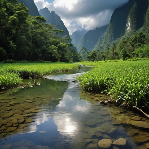 nature wallpaper,river landscape,rice fields,beautiful landscape,green landscape,nature landscape,tailandia,shaoming,karst landscape,natural scenery,ricefields,rice field,landscapes beautiful,mountainous landscape,vietnam,the rice field,the natural scenery,ricefield,rice paddies,guilin