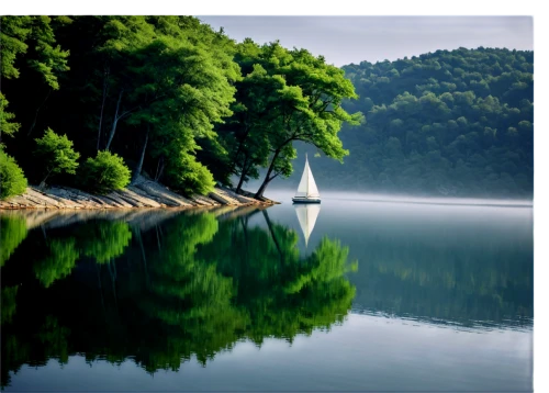 nature background,background view nature,landscape background,green trees with water,drina,jezero,nature wallpaper,beautiful lake,river landscape,windows wallpaper,forest lake,green landscape,canim lake,mountainlake,nature landscape,landscape nature,landscape photography,natural scenery,beautiful landscape,water mirror,Photography,Documentary Photography,Documentary Photography 36