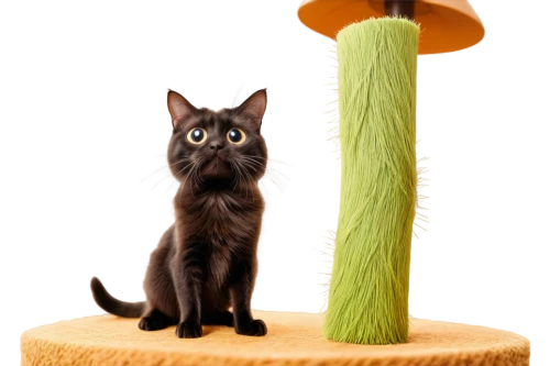cattail,witches hat,witches' hat,floor lamp,candle wick,hat stand,cattails,witches' hats,lampsacus,catus,cat tail,ravenpaw,mcnaught,incense with stand,golden candlestick,candlesticks,panther mushroom,alberty,light cone,witch hat,Illustration,Retro,Retro 24