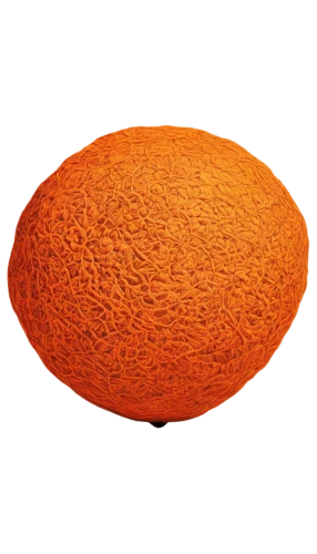 muskmelon,mitochondrion,spheroidal,egg,orange,ovule,ellipsoids,organelle,ellipsoid,orangi,large egg,egg shell,isolated product image,calabaza,spheroids,kacang,half orange,acridine orange,vesicle,mitochondria,Illustration,Black and White,Black and White 28