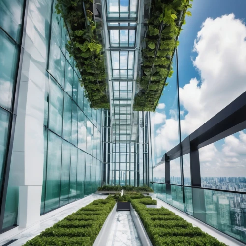 roof garden,greenhouse effect,skybridge,greentech,skywalks,sky ladder plant,roof landscape,roof terrace,glass building,skywalk,greenhouse,glass wall,balcony garden,glass roof,skyscapers,skypark,ecotech,hahnenfu greenhouse,glass facade,glasshouses,Illustration,Realistic Fantasy,Realistic Fantasy 19
