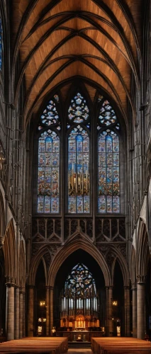 transept,stained glass windows,lichfield,church windows,main organ,stained glass window,vaulted ceiling,stained glass,presbytery,the interior,hammerbeam,christ chapel,choir,chancel,vaults,organ pipes,interior view,interior,st mary's cathedral,pipe organ,Photography,Fashion Photography,Fashion Photography 14