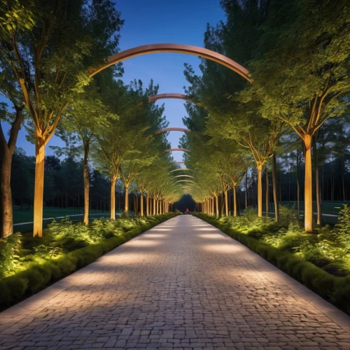 landscape design sydney,archways,landscape designers sydney,walkway,pergola,tree lined path,pathway,landscaped,rose arch,semi circle arch,ringworld,virtual landscape,3d background,tunnel of plants,canopied,tree lined avenue,the mystical path,arbor,three centered arch,archway