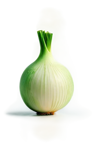 persian onion,bulgarian onion,onion,garlic bulb,scallion,cultivated garlic,still life with onions,balayogi,garlic,sweet garlic,ornamental onion,onion bulbs,onion seed,white onions,white cabbage,houseleek,scallions,endive,allium,kohlrabi,Conceptual Art,Graffiti Art,Graffiti Art 02