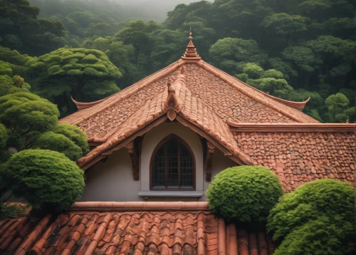 roof landscape,wooden roof,rooflines,tiled roof,house roofs,red roof,roof domes,roofs,house roof,roof tiles,asian architecture,roofed,roofline,wooden church,grass roof,roof,cloistered,thatched roof,forest chapel,the old roof,Illustration,Japanese style,Japanese Style 18