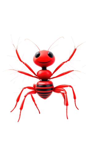 crab 2,krab,crab 1,crustacean,red ant,eega,crab,crayfish,bot icon,scorpio,headcrab,square crab,webcrawler,red,nanobots,krabs,crayfish 1,redant,the crayfish 2,garlic crayfish,Photography,Fashion Photography,Fashion Photography 22