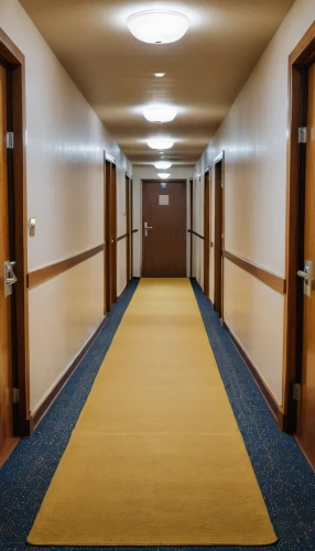 staterooms,hallway,corridors,corridor,hotel hall,hallway space,hallways,entranceways,carpeted,guestrooms,entranceway,jetway,passageway,passageways,redrum,stateroom,dormitory,carpet,room door,carpeting,Photography,General,Realistic