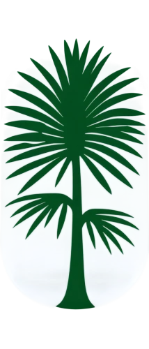 palm tree vector,date palm,date palms,fan palm,palmetto,wine palm,nikau,palmtree,palm tree silhouette,washingtonia,arecaceae,cycad,palm tree,palmera,palm,palm leaf,betel palm,norfolk island pine,saudi arabia,palm in palm,Conceptual Art,Fantasy,Fantasy 07