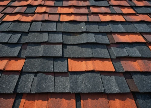 roof tiles,roof tile,shingled,slate roof,tiled roof,shingling,shingles,roof plate,roof panels,house roofs,shingle,house roof,roofing,the old roof,red roof,wooden roof,dormer,rooflines,roof landscape,roofing work,Conceptual Art,Daily,Daily 25