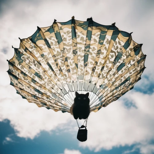 overhead umbrella,parachute fly,parachute,parasols,hanging lantern,aerial view umbrella,parasol,summer umbrella,parachutist,parachutes,beach umbrella,rogallo,parachuting,airdrop,parachuted,parachute jumper,oriental lantern,revolving light,parasail,japanese umbrella,Photography,Documentary Photography,Documentary Photography 01